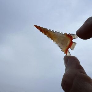 Flintknapping Workshop on the display of the website